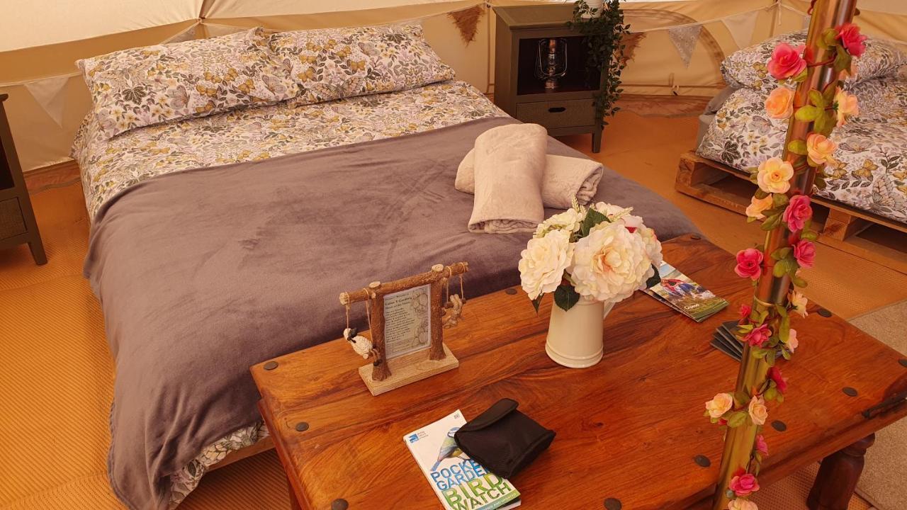 Отель Calon Y Goedwig Glamping Лландовери Экстерьер фото