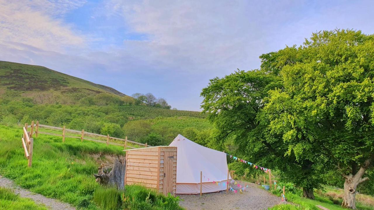 Отель Calon Y Goedwig Glamping Лландовери Экстерьер фото