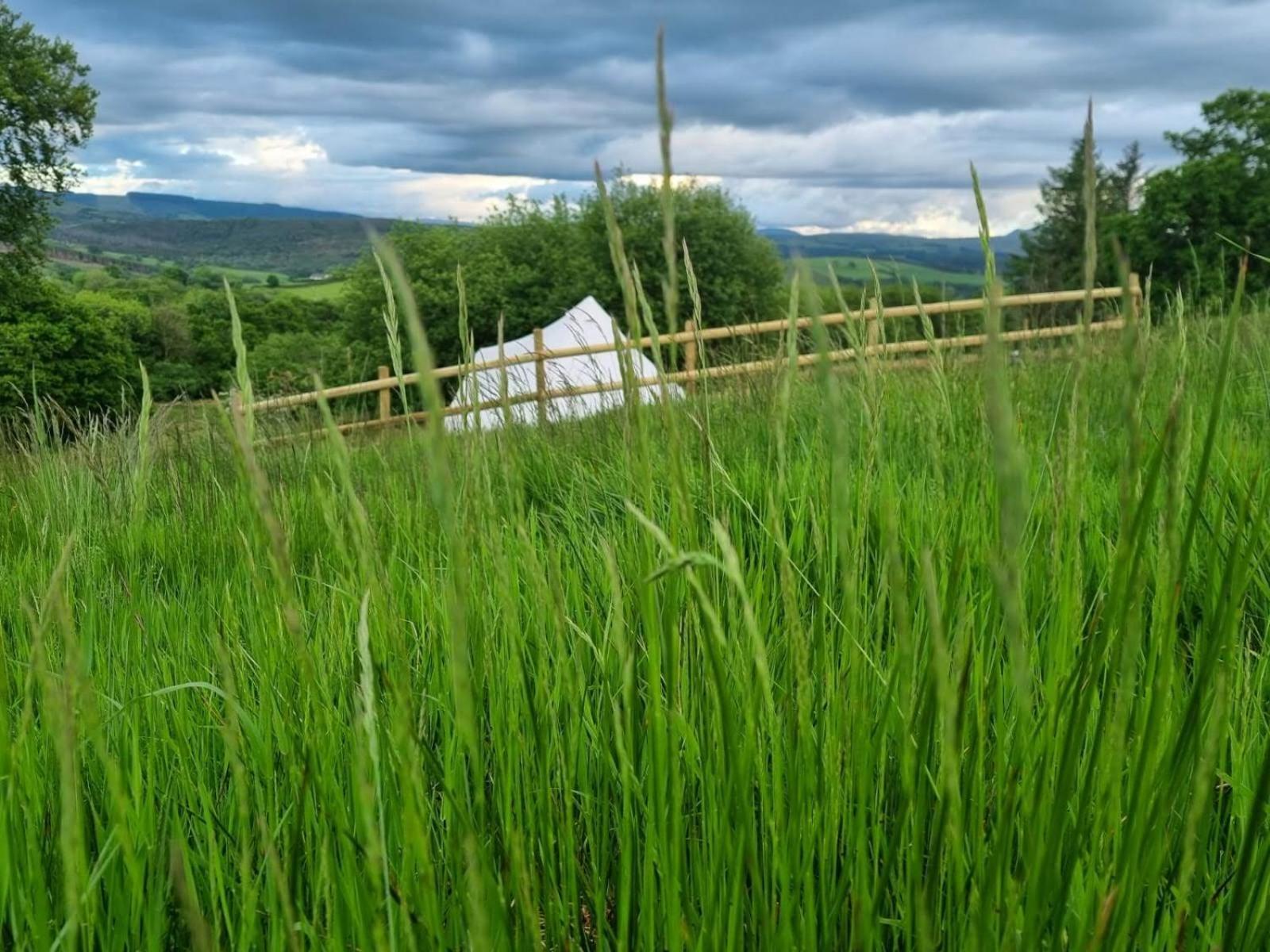 Отель Calon Y Goedwig Glamping Лландовери Экстерьер фото